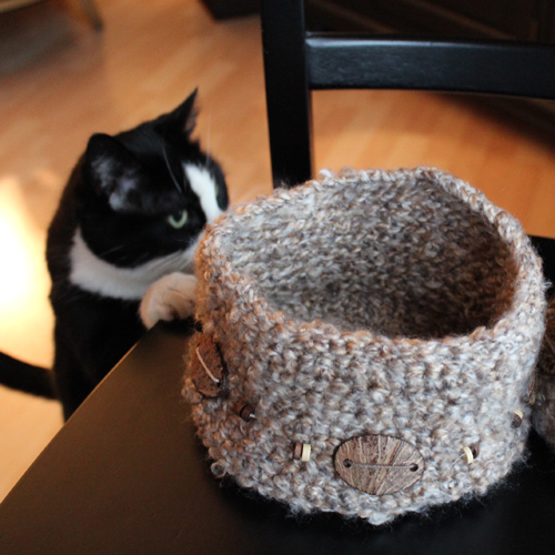 cat sniffing basket